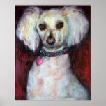Poodle Portrait Fine Art Prints
