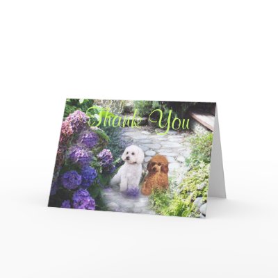 Poodle Thank You Card Hydrangeas