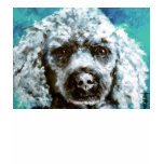 Poodle t-shirts