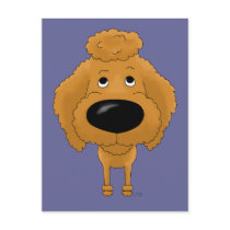 Poodles - Big Nose