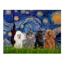 Poodles (four) - Starry Night Postcards