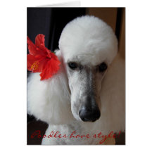 Poodles have style! card