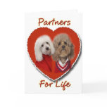 Poodles Partners for Life cards