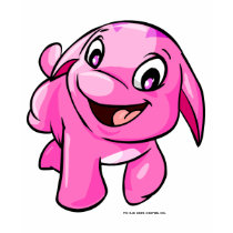 Poogle Pink t-shirts