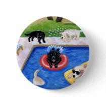 Pool Party Labradors