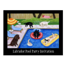 Pool Party Labradors Postcards