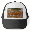 Pools Yellowstone Hydrothermal Hot Spring hats