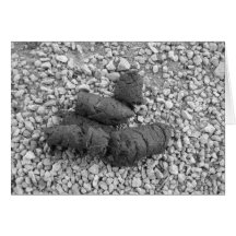 poop 001 greeting card