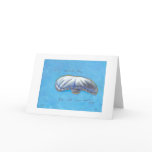 Poor Balloon Boy - Heene family hoax ART cards