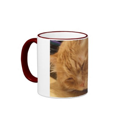 poosh mugs by niburaz