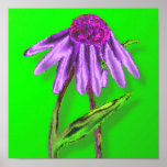 Pop Art Coneflower posters