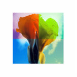 Pop art Flower in different colour quads retro loo