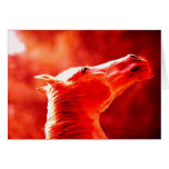 Pop Art Horse Head Card