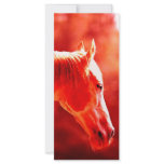 Pop Art Horse Head rack cards
