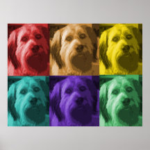 Pop Art Labradoodle Poster