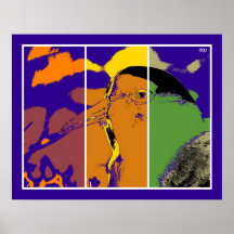 Pop art Triptych Bird Masked Lapwing Poster