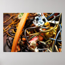 Popcorn & Carrots #04 poster print