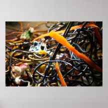 Popcorn & Carrots #05 Print