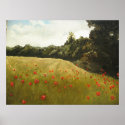 Poppie field in Muhumaa posters