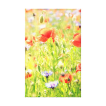 Poppies art galerie faltleinwand