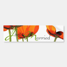 Poppies ! bumper sticker