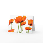 Poppies! cards