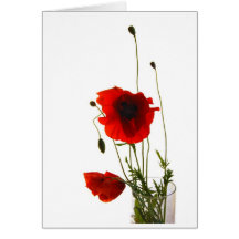 Poppies Card