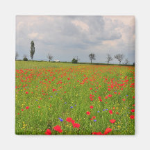 Poppies field fridge magnet