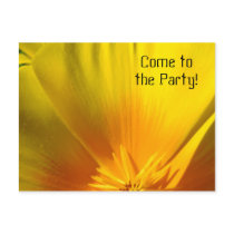 Poppies Flowers Invitations Come to the Party!