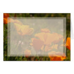 Poppies Flowers Stationery Card