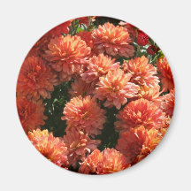 Poppies I Refrigerator Magnet
