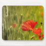 Poppies in wheatfield mouse pad