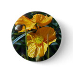 Poppies make great friends pinback buttons