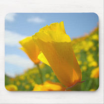 POPPIES MOUSE PADS Poppy Flowers MOUSEPAD