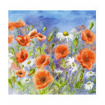 'Poppies n Daisies' T-Shirt