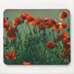 Poppies no. 3 | Mousepad