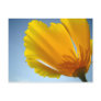 POPPIES Orange Poppy Flowers 13 Cards Gifts Mugs Post Card