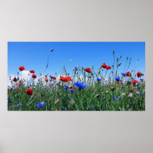 Poppies Plakatdrucke