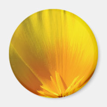 POPPIES POPPY Flowers MAGNET MAGNETS Gifts