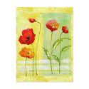 Poppies postcards