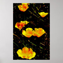 Poppies Poster