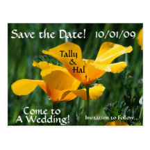 Poppies Save the Date Postcard