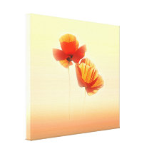 Poppies   Stretched Canvas Print