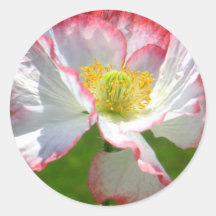Popppy Photo Sticker