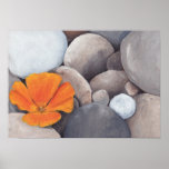 Poppy and Pebbles Art Print
