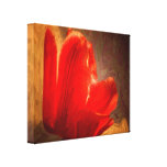 Poppy art stretched canvas prints