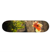 Poppy blooming custom skate board