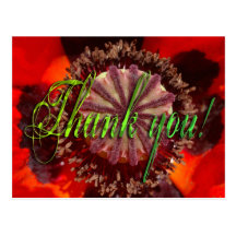 Poppy Blossom - Thank You Postcards