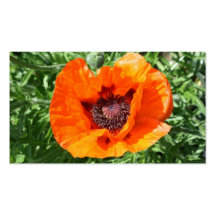 Poppy Business Card Templates
