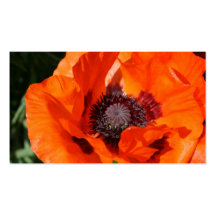 Poppy Business Card Templates